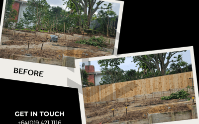 From Hedge to Fence: Creating a Clear Boundary with Timber Fencing in Auckland